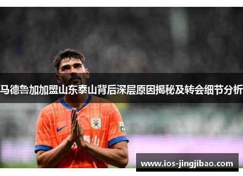 马德鲁加加盟山东泰山背后深层原因揭秘及转会细节分析