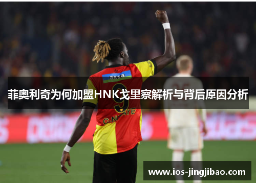 菲奥利奇为何加盟HNK戈里察解析与背后原因分析