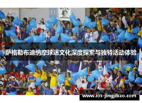 萨格勒布迪纳摩球迷文化深度探索与独特活动体验 萨格勒布迪纳摩球迷文化深度探索与独特活动体验